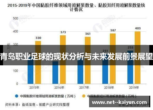 青岛职业足球的现状分析与未来发展前景展望