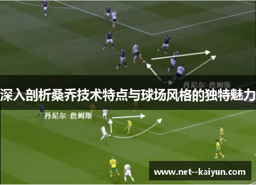 深入剖析桑乔技术特点与球场风格的独特魅力